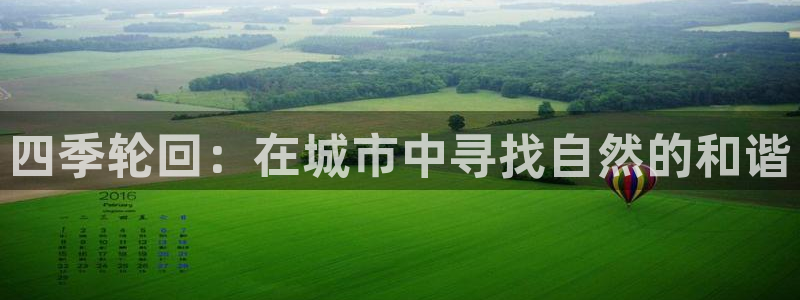 摩根娱乐总部在哪里:四季轮回:在城市中寻找自然的和谐