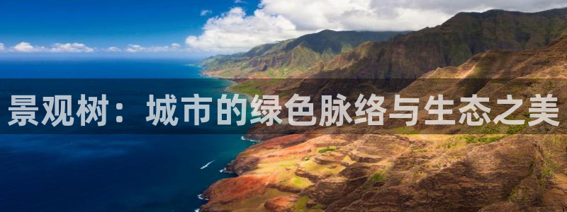 摩根2娱乐:景观树:城市的绿色脉络与生态之美