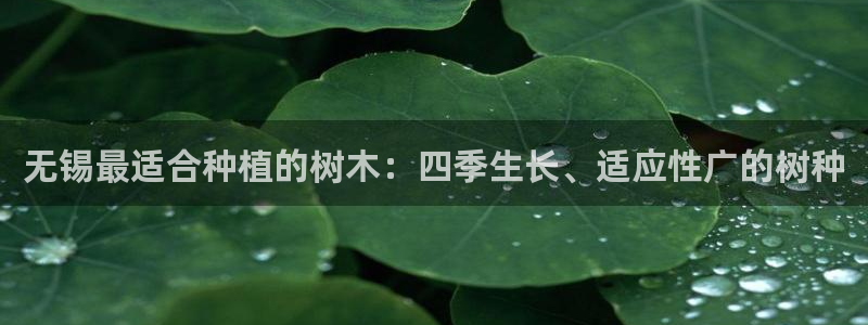 昆明滇池路摩根道娱乐:无锡最适合种植的树木:四季生长、适应性广的树种